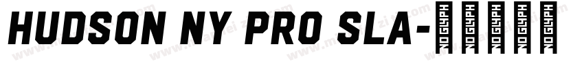 Hudson NY Pro Sla字体转换